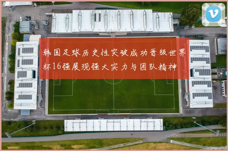 韩国足球历史性突破成功晋级世界杯16强展现强大实力与团队精神