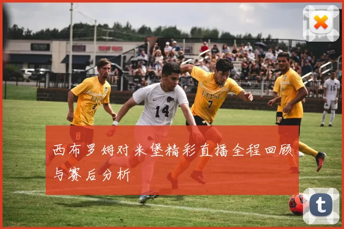 西布罗姆对米堡精彩直播全程回顾与赛后分析