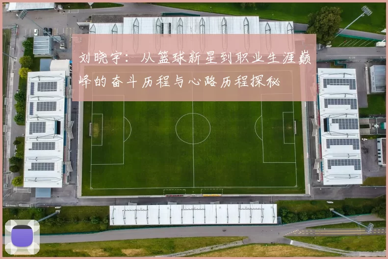 刘晓宇：从篮球新星到职业生涯巅峰的奋斗历程与心路历程探秘